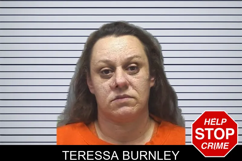 Teressa Burnley mugshot – Cherokee County , Georgia Teressa Burnley mugshot