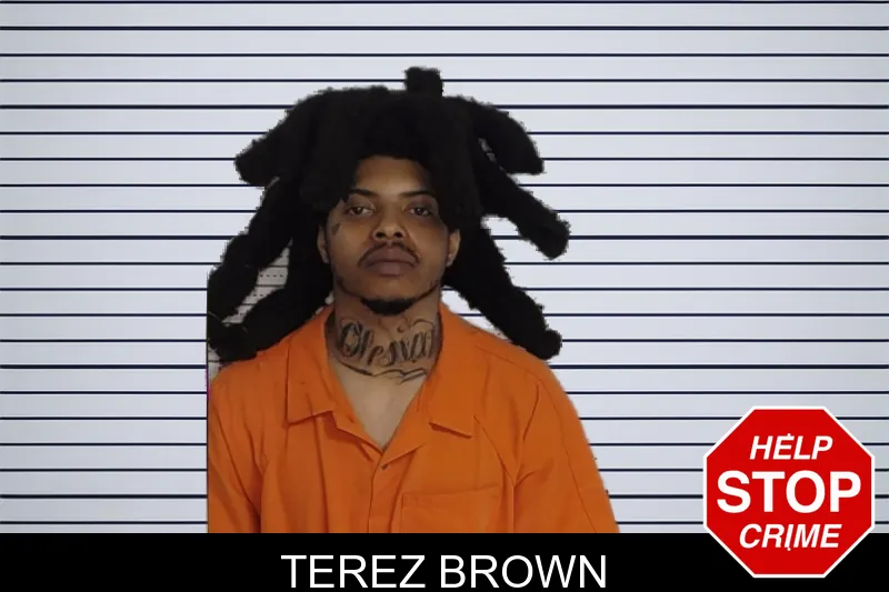 Terez Brown mugshot