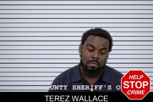 Terez Wallace mugshot