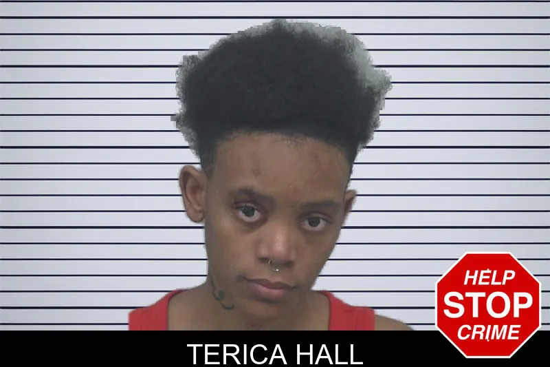 Terica Hall mugshot