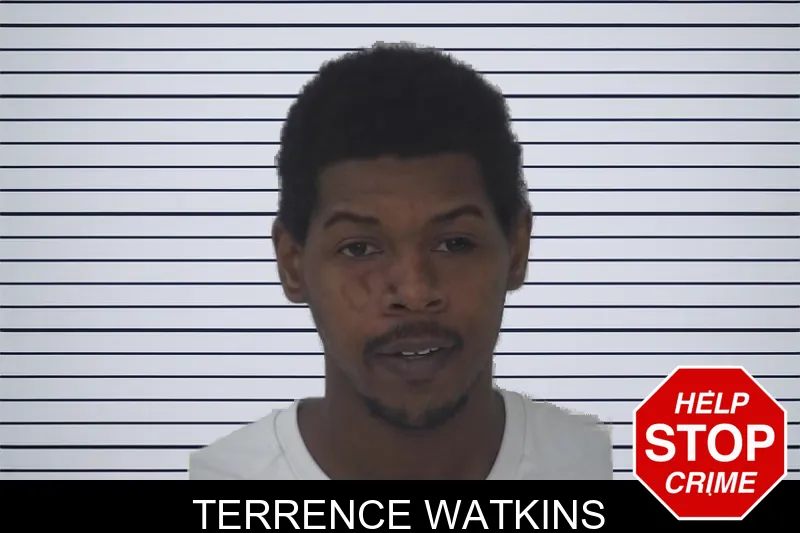 Terrence Watkins mugshot – Fayette County , Georgia Terrence Watkins mugshot