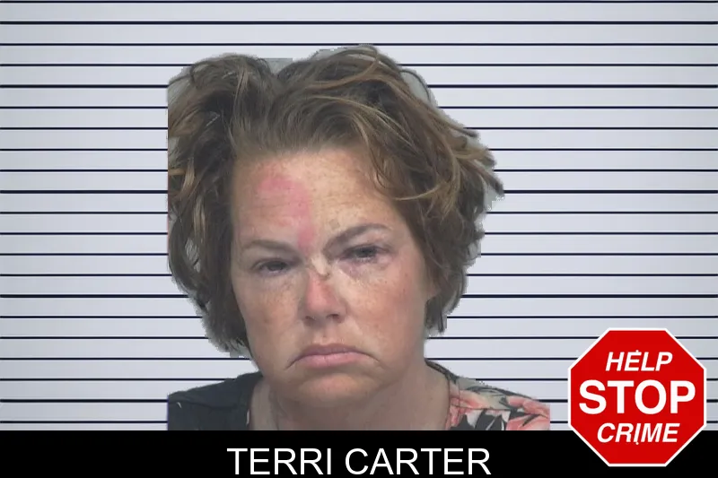 Terri Carter mugshot