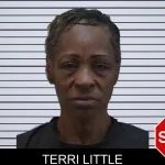Terri Little mugshot