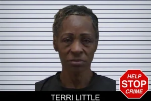 Terri Little mugshot