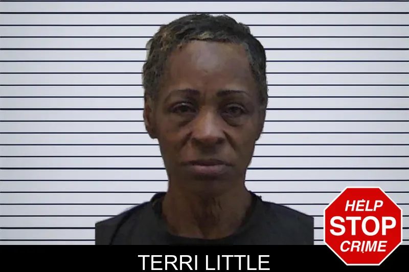 Terri Little mugshot