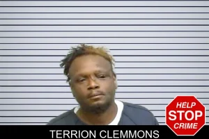 Terrion Clemmons mugshot