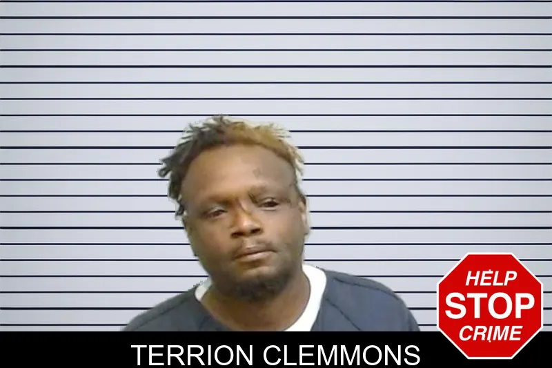 Terrion Clemmons mugshot