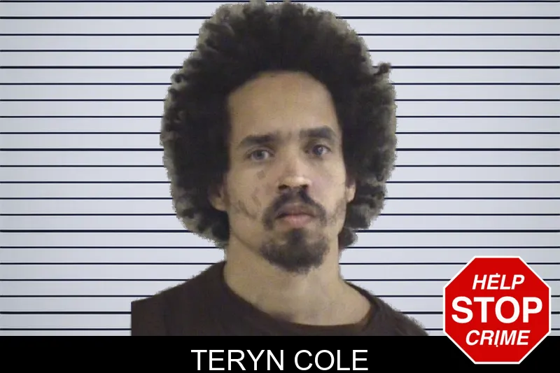 Teryn Cole mugshot