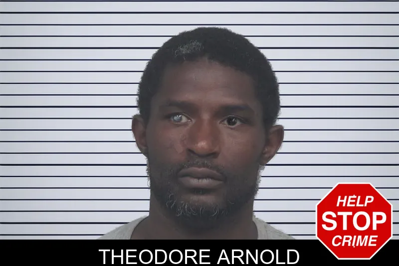 Theodore Arnold mugshot