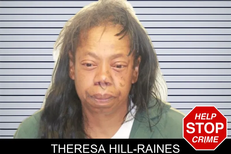 Theresa Hill-Raines mugshot