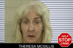 Theresa McGillis mugshot