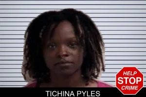 Tichina Pyles mugshot