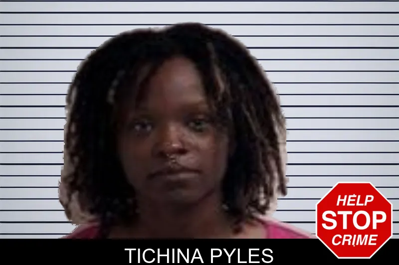 Tichina Pyles mugshot – Henry County , Georgia Tichina Pyles mugshot