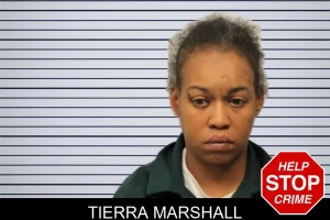 Tierra Marshall mugshot