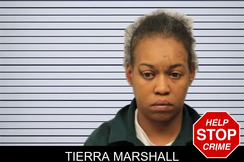 Tierra Marshall mugshot