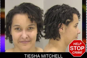 Tiesha Mitchell mugshot