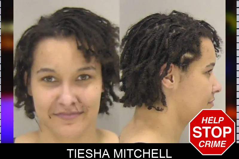 Tiesha Mitchell mugshot