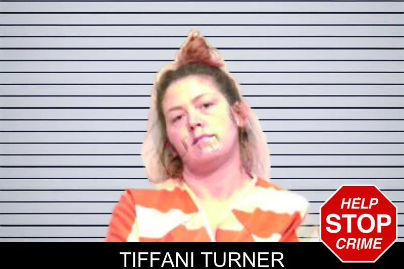 Tiffani Turner mugshot