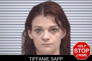 Tiffanie Sapp mugshot