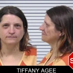 Tiffany Agee mugshot – Paulding County , Georgia Tiffany Agee mugshot