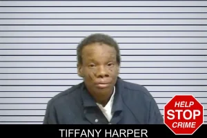 Tiffany Harper mugshot