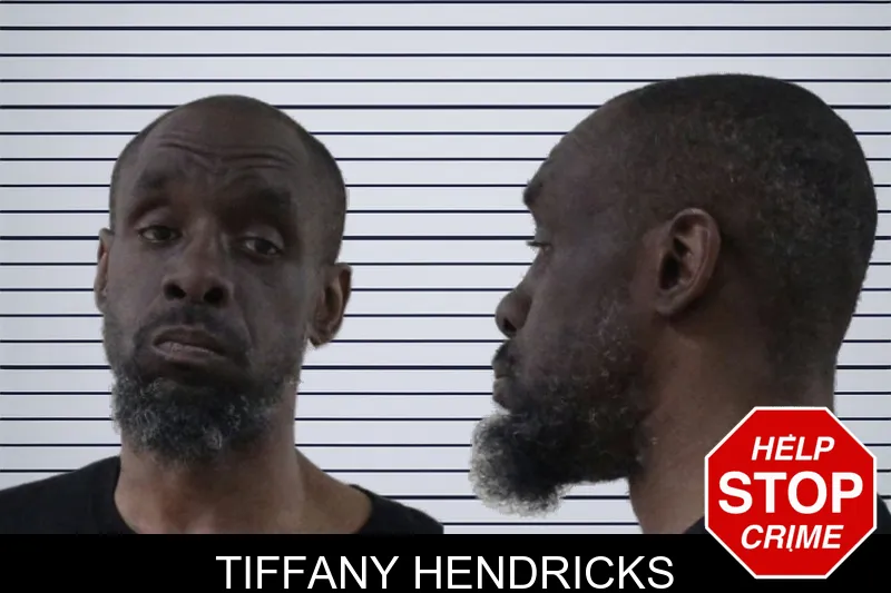 Tiffany Hendricks mugshot