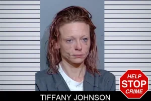 Tiffany Johnson mugshot