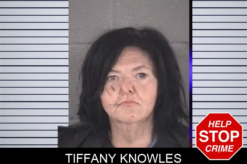Tiffany Knowles mugshot – Spalding County , Georgia Tiffany Knowles mugshot
