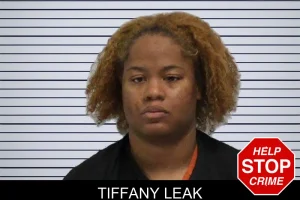 Tiffany Leak mugshot