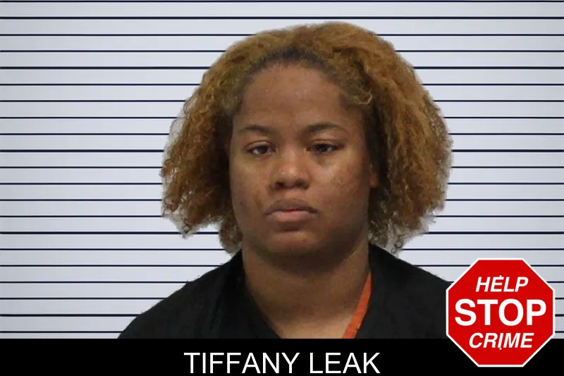 Tiffany Leak mugshot – Carroll County , Georgia Tiffany Leak mugshot