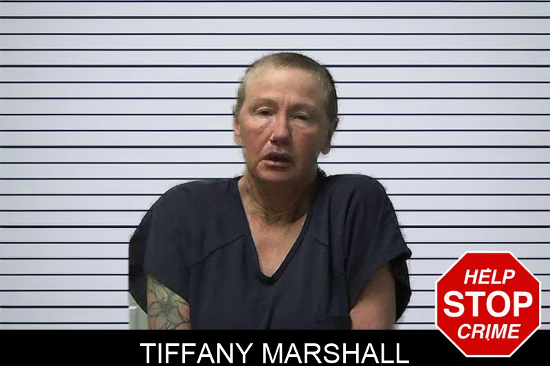 Tiffany Marshall mugshot – Gilmer County , Georgia Tiffany Marshall mugshot