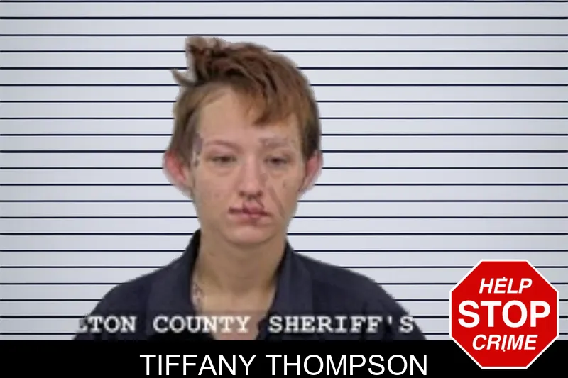 Tiffany Thompson mugshot