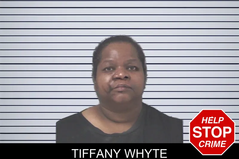 Tiffany Whyte mugshot – Douglas County , Georgia Tiffany Whyte mugshot