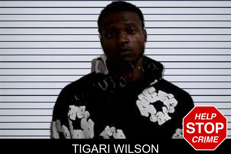 Tigari Wilson mugshot