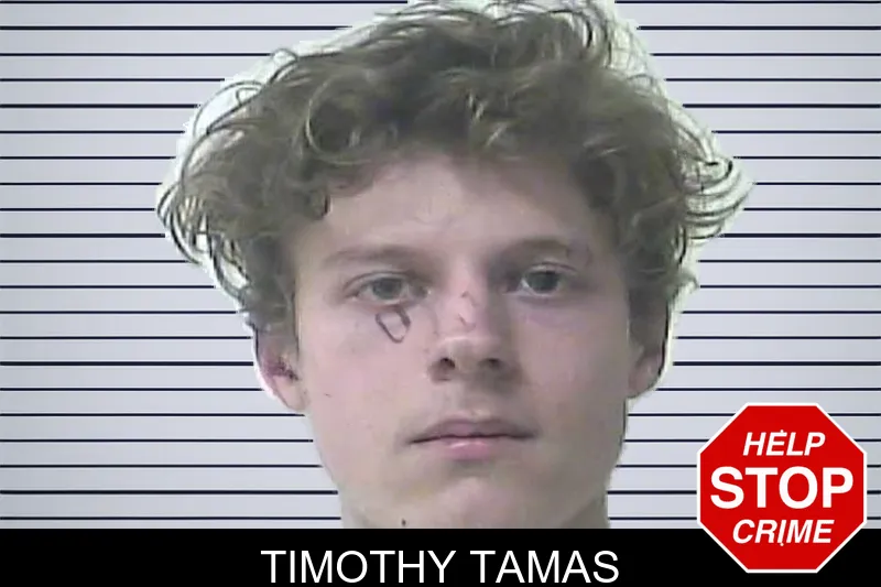 Timothy Tamas mugshot