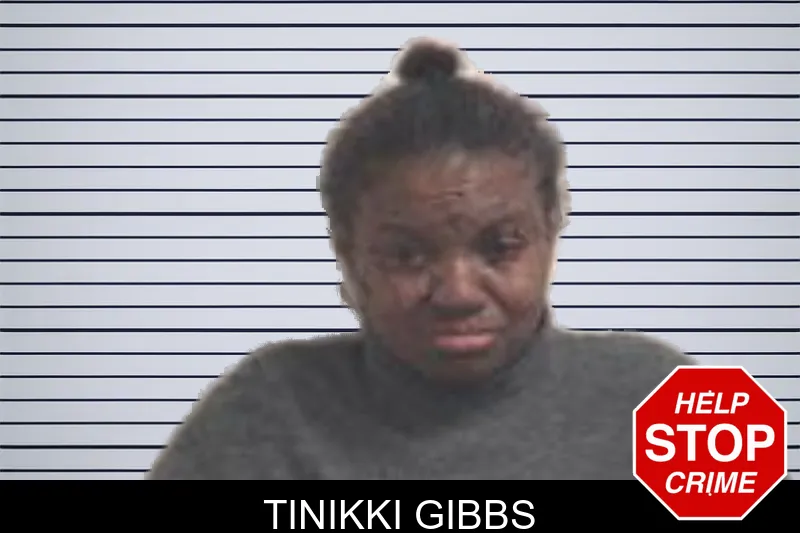 Tinikki Gibbs mugshot