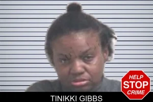 Tinikki Gibbs mugshot