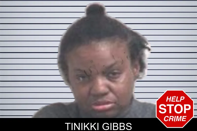 Tinikki Gibbs mugshot