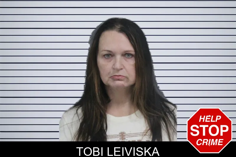 Tobi Leiviska mugshot