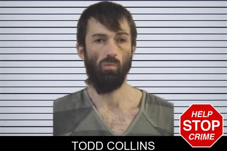 Todd Collins