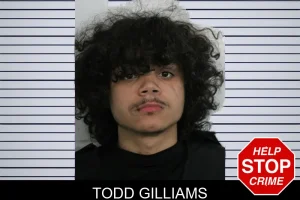 Todd Gilliams mugshot