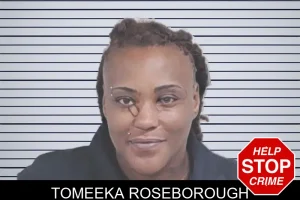 Tomeeka Roseborough mugshot
