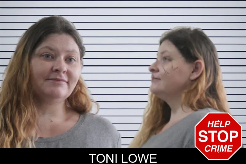 Toni Lowe mugshot
