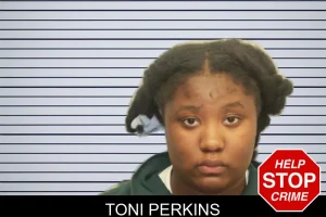 Toni Perkins mugshot