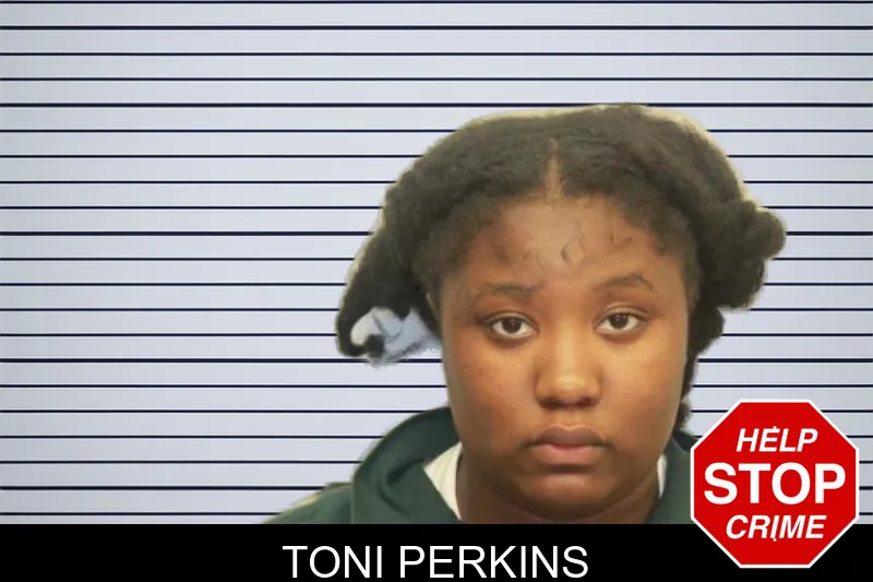 Toni Perkins mugshot