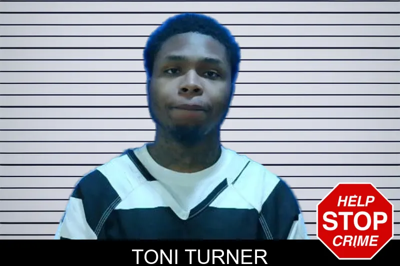 Toni Turner mugshot