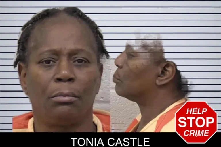 Tonia Castle mugshot – Paulding County , Georgia Tonia Castle