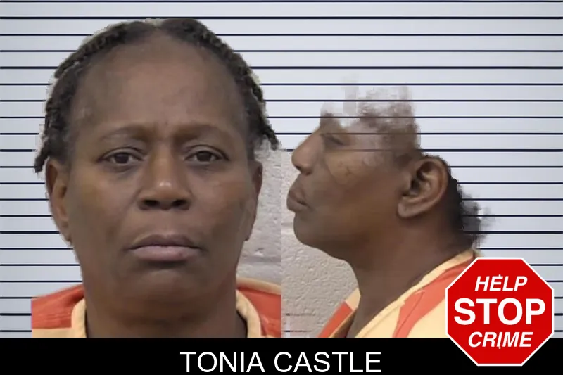 Tonia Castle mugshot