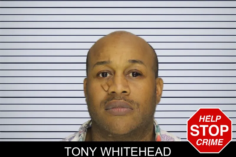 Tony Whitehead mugshot