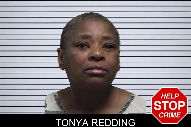 Tonya Redding mugshot